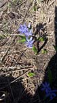 20180422_104124