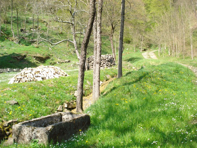 DSC08240
