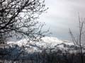 SAM_3476