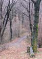 SAM_3477