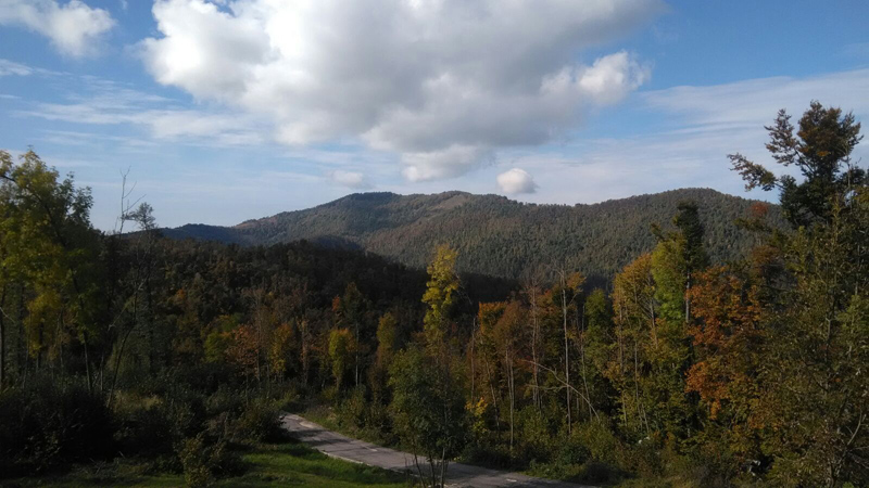 20171008_091765