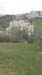 IMG-20170415-WA0007