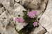 Triglav 2017-04