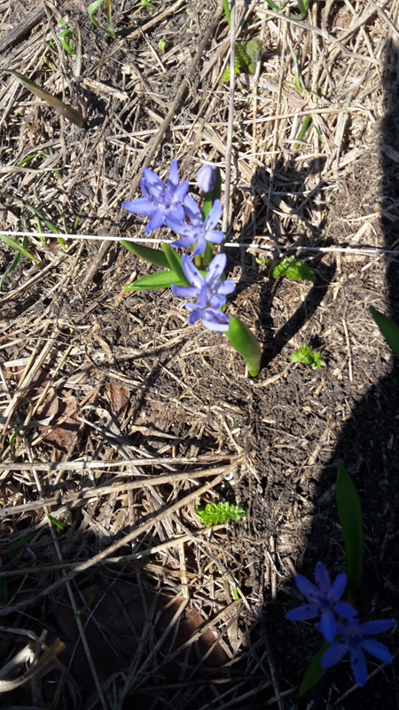 20180422_104124