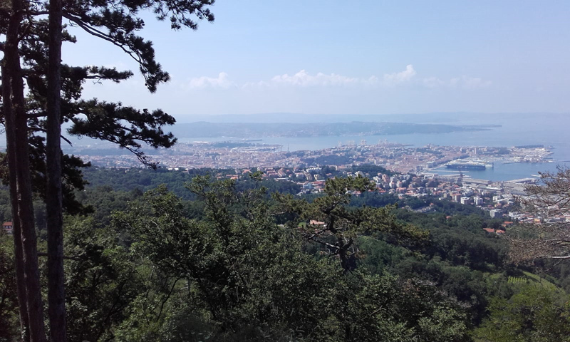 IMG-20180601-WA0004